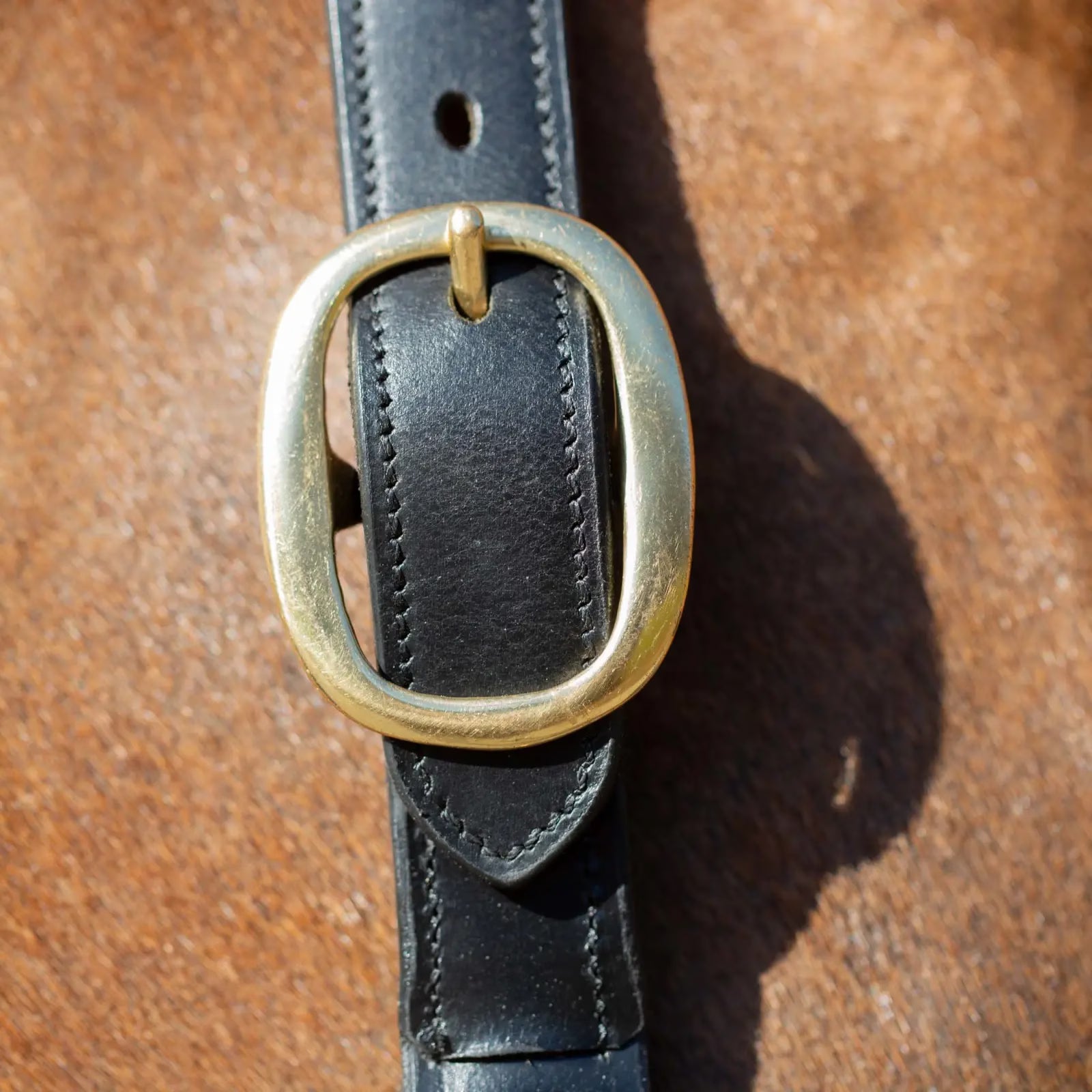Close-up view of the buckle on the black Equinavia Valkyrie Classic Leather Halter