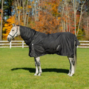 Full body side view of a gray horse wearing the black Equinavia Norse Turnout Hood 0g while standing in a pasture