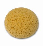 Full view of the Hadera II Round Tack Sponge on a white background