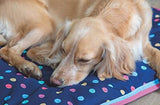 Digby & Fox Waterproof Padded Dog Bed