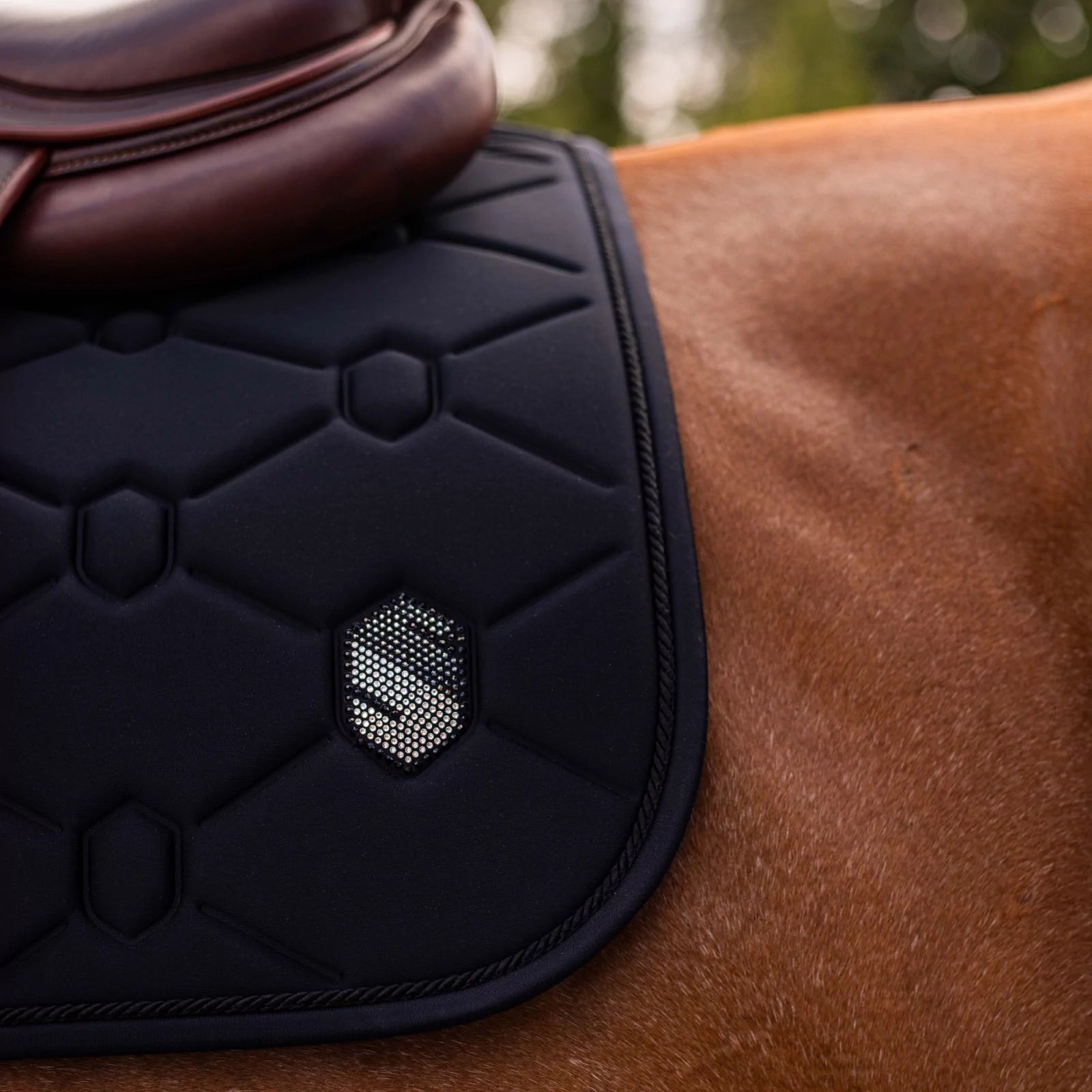 Close-up side view of a horse wearing the black swarovski embroidered Samshield Spineshield Jump Pad