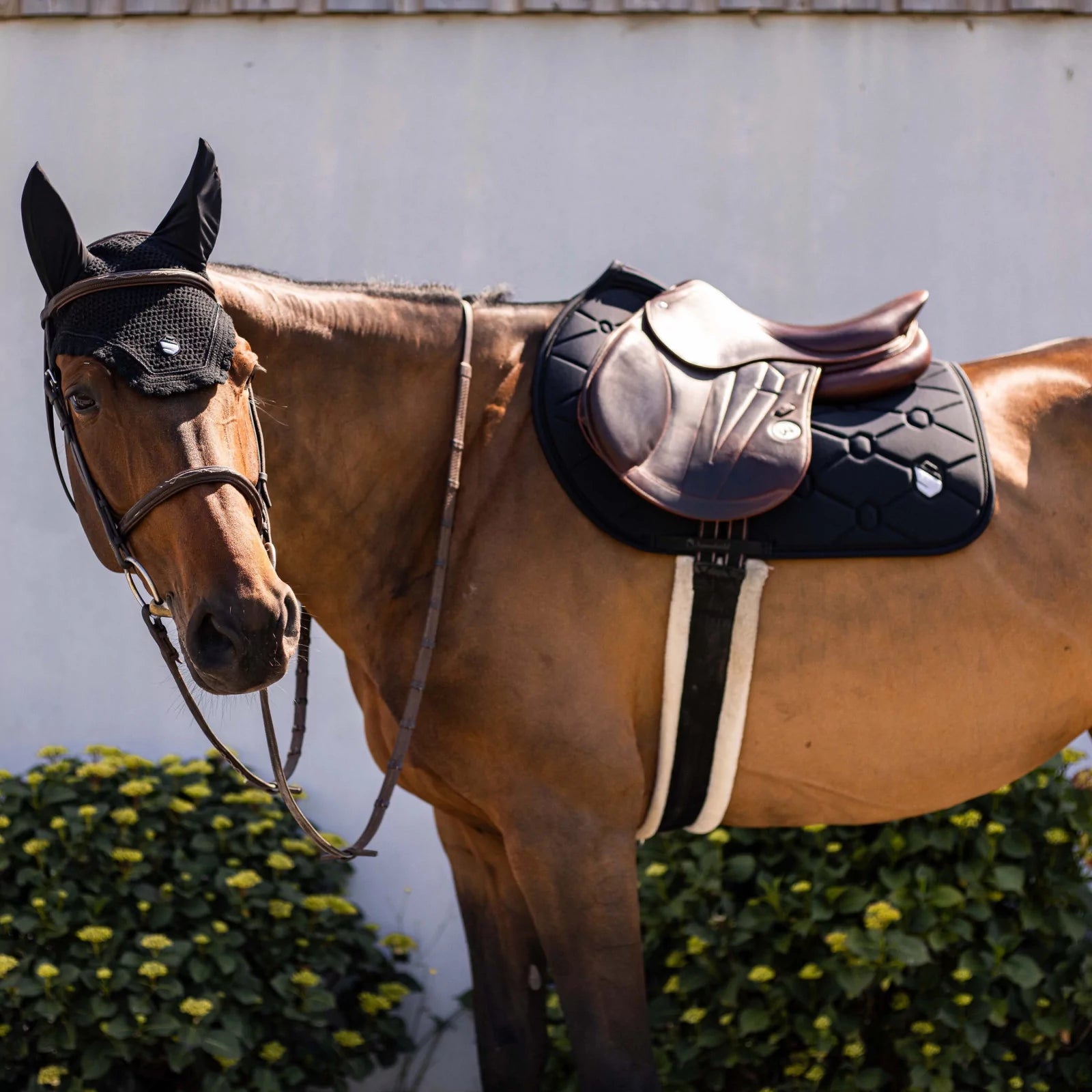 Side view of a bay horse wearing the black embroidered Samshield Spineshield Jump Pad while standing in front of green bushes and a wall outside