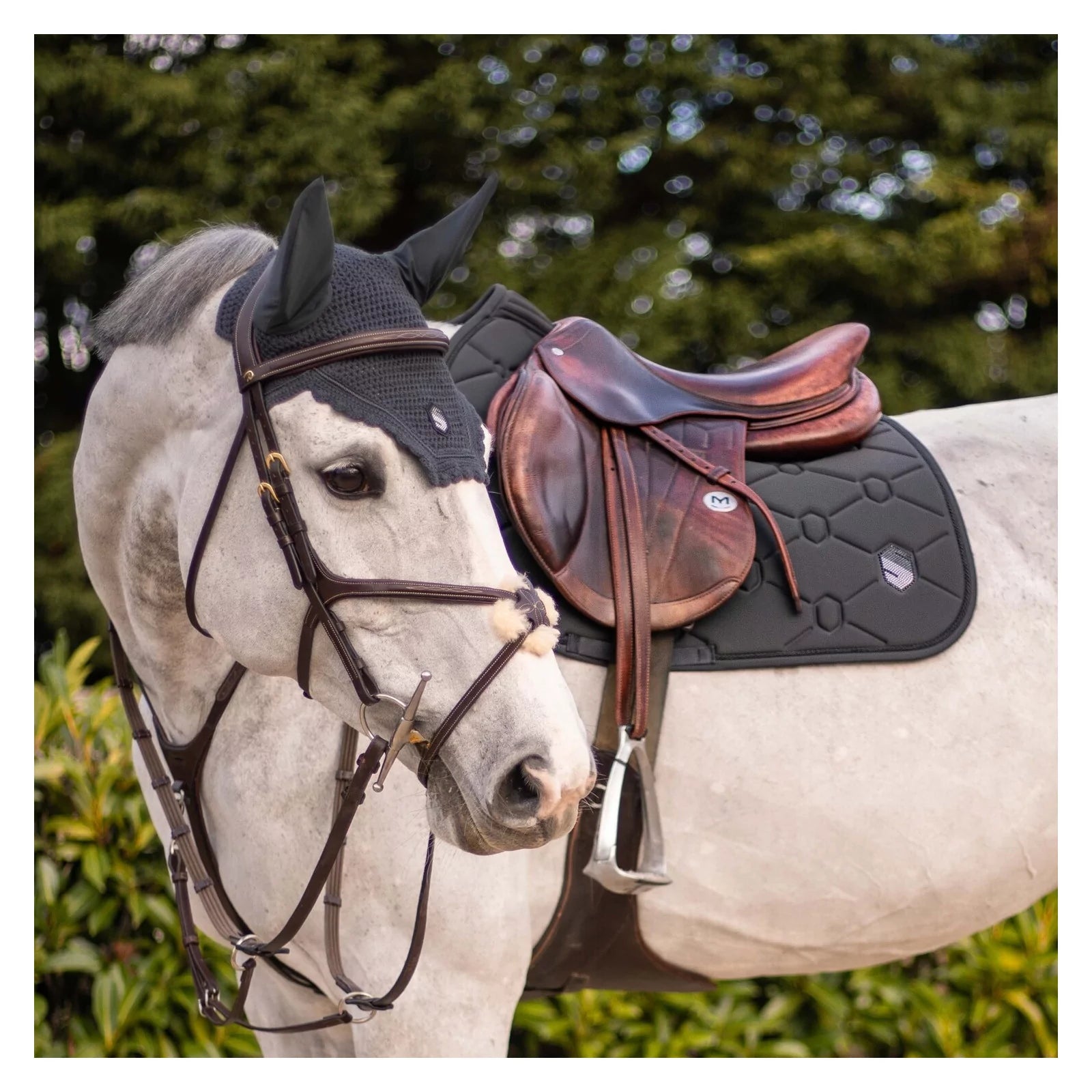 Side view of a gray horse wearing the anthracite swarovski embroidered Samshield Spineshield Jump Pad while standing outside