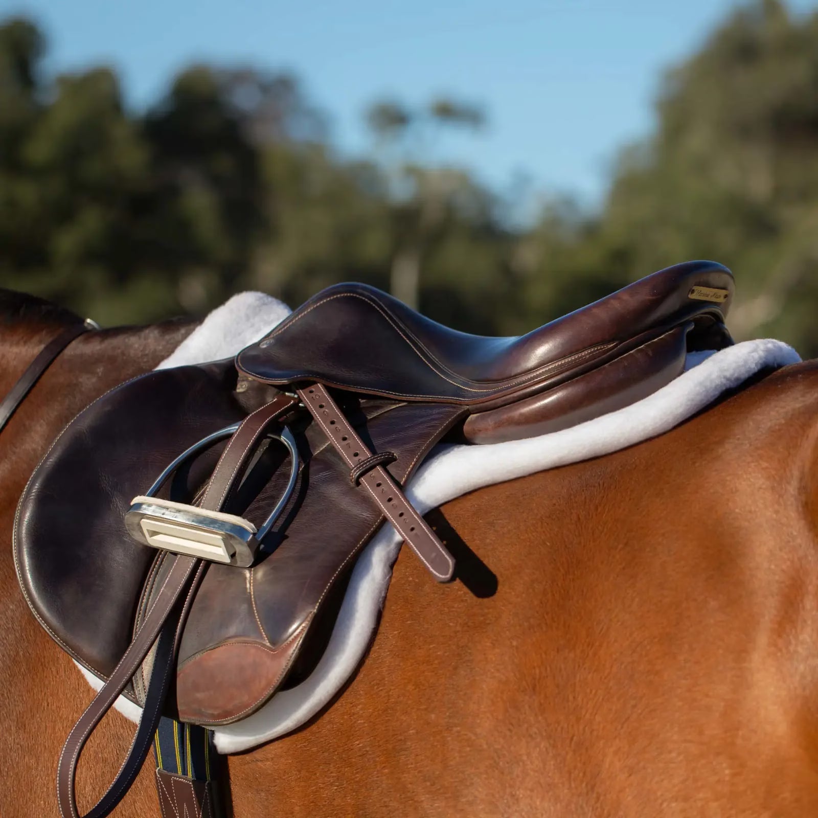 Oakbark Brown Equinavia Valkyrie Stirrup Leathers on a jump saddle on a bay horse