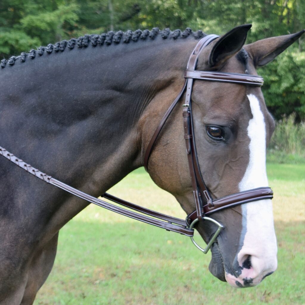 Red Barn Spirit Bridle