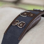 Close-up view of the D rings on the brown and navy Equinavia Saga Lunge Surcingle on a gray horse