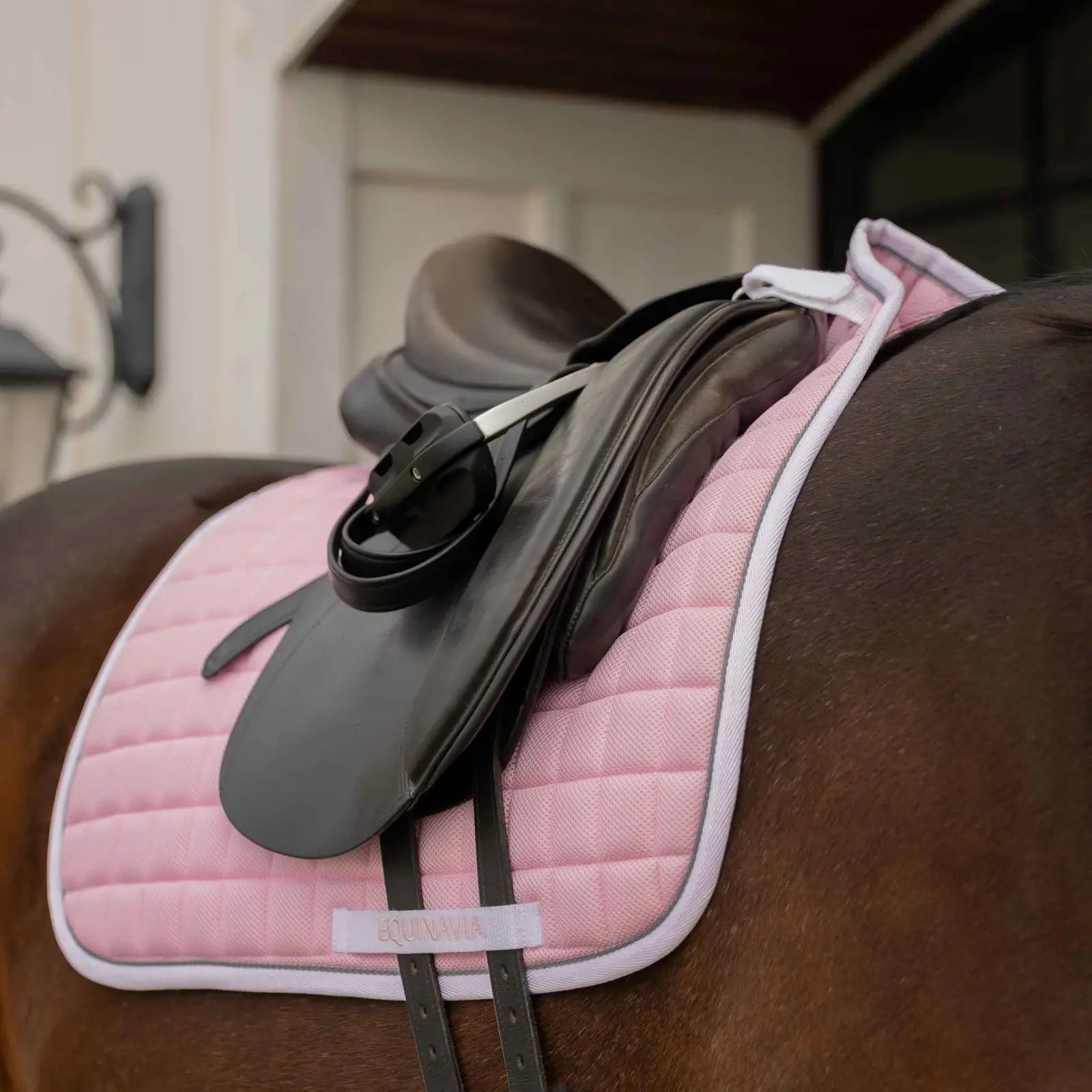 Angled front view of a bay horse wearing the pink Equinavia Svalbard Dressage Saddle Pad with NordicAir Tech under a saddle