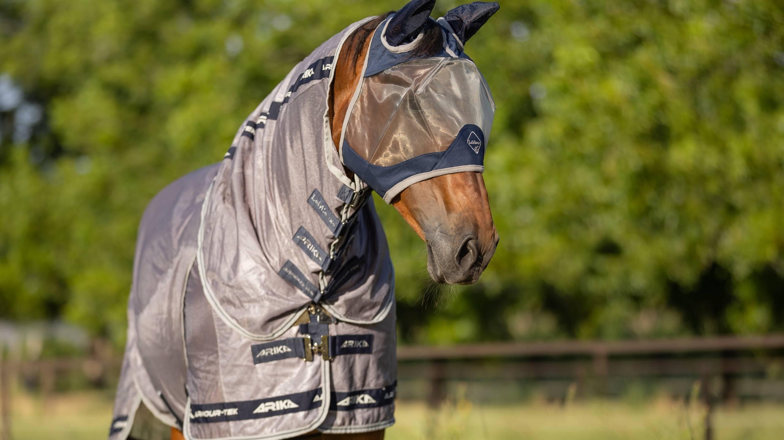 Angled front view of a horse wearing the navy Lemieux ArmourShield Pro Half Fly Mask outside