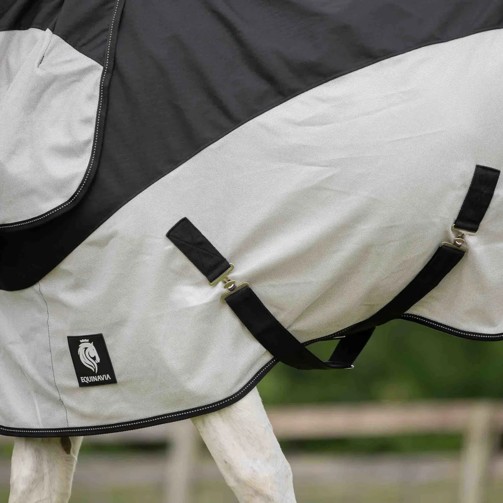 Close-up side view of a horse wearing the black/silver gray Equinavia Norse Detachable Neck Combi Summer Sheet 