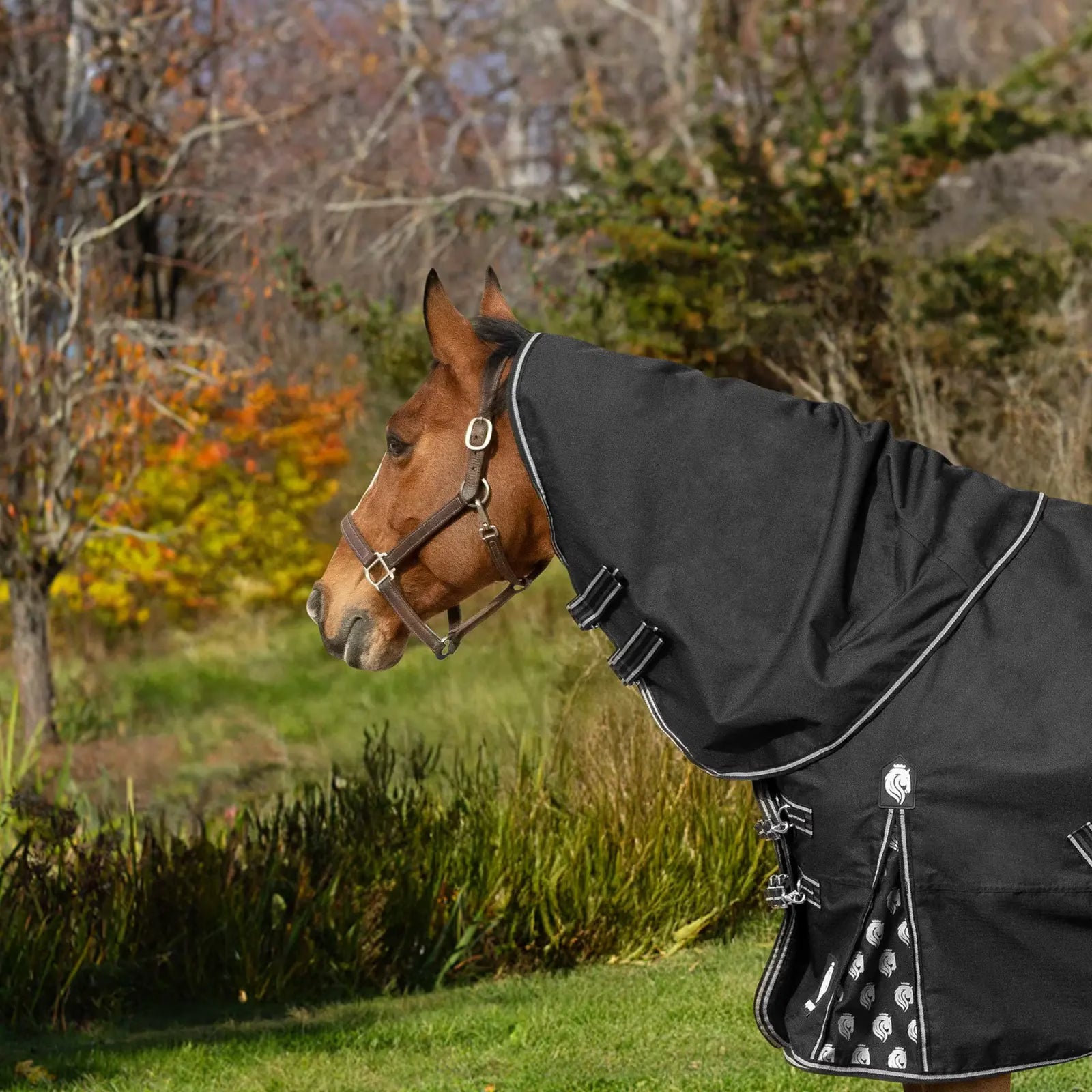 Side view of a bay horse wearing the black Equinavia Norse Turnout Hood 0g while standing outside