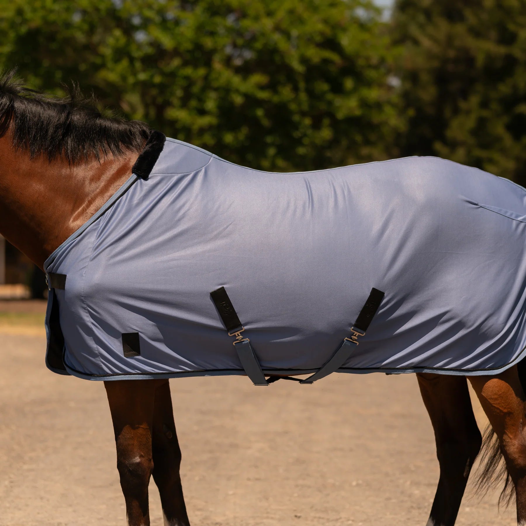 Side view of a horse wearing Dusk Blue Equinavia Torr Quick Dry Cooler