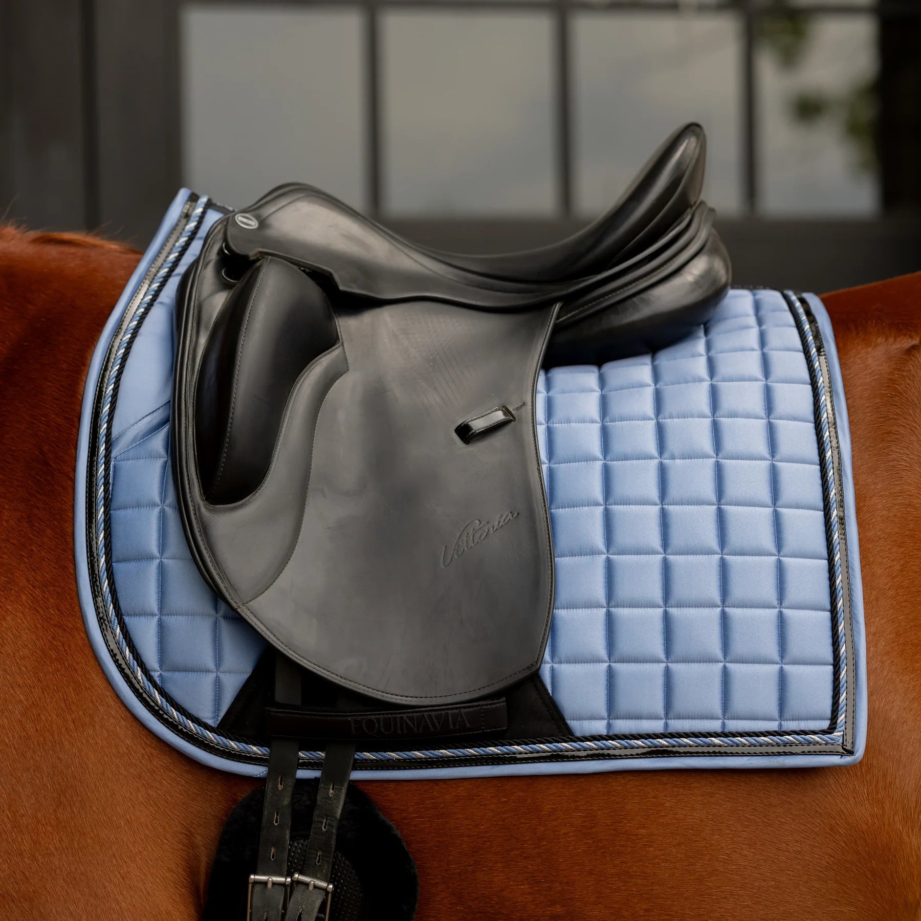 Side closeup view of a horse wearing Dusk Blue Equinavia Copenhagen Stay Put Dressage Saddle Pad