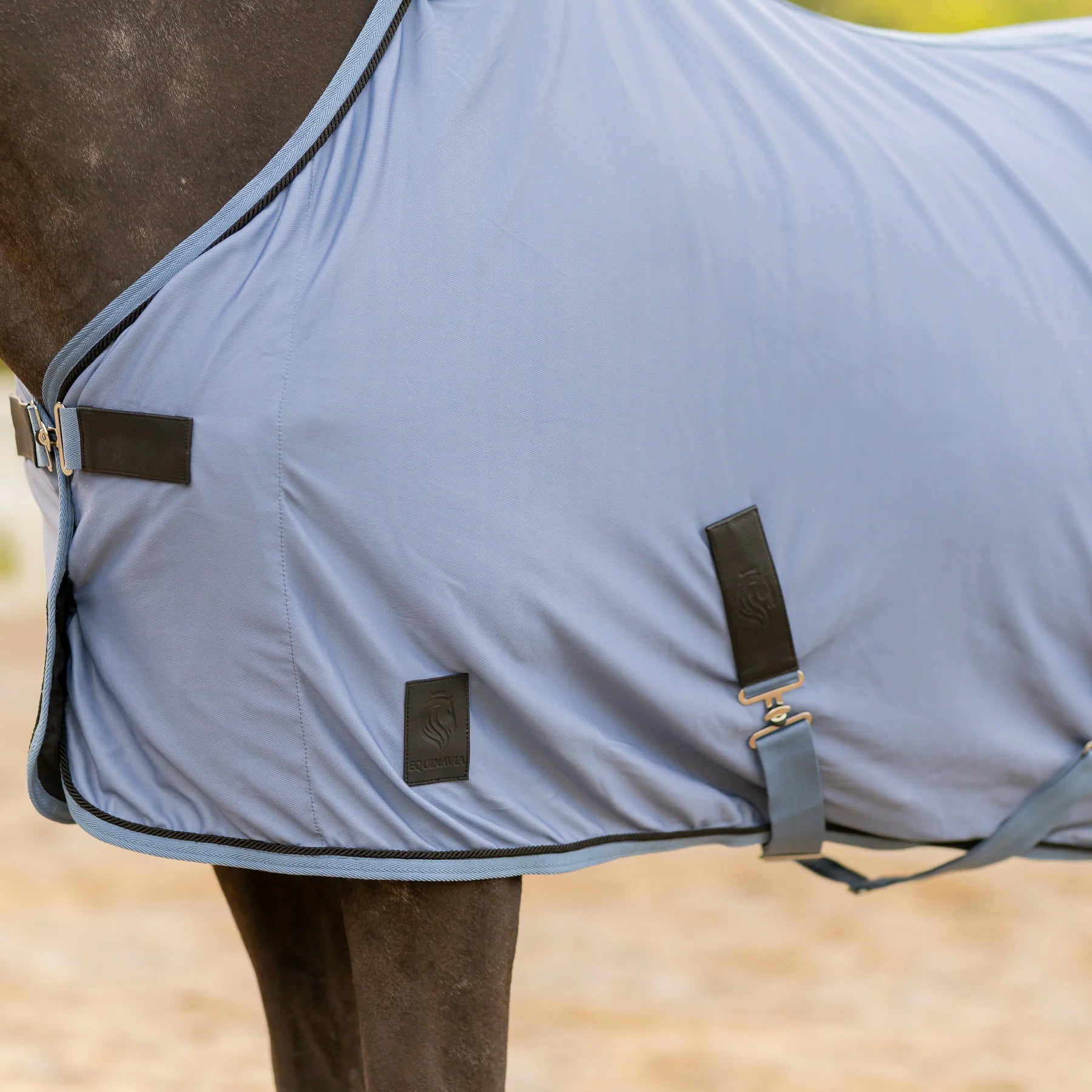 Side closeup view of a horse wearing Dusk Blue Equinavia Torr Quick Dry Cooler