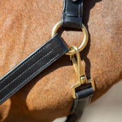 Close-up view of the throat latch on the Equinavia Valkyrie Classic Leather Halter