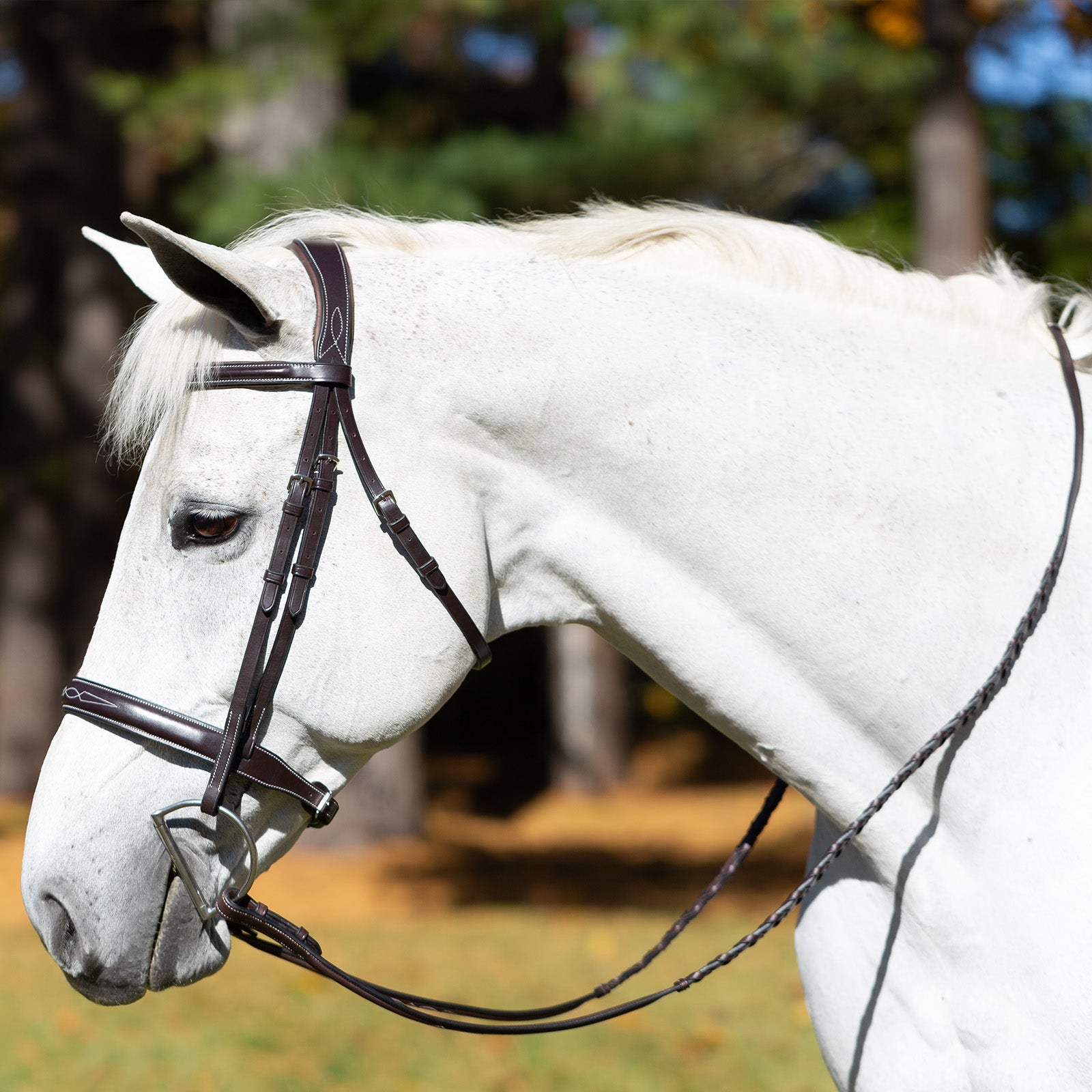 Side view of a gray horse wearing the brown Equinavia Valkyrie Wide Noseband Hunter Bridle with Laced Reins while standing outside