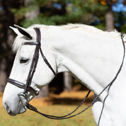 Side view of a gray horse wearing the brown Equinavia Valkyrie Wide Noseband Hunter Bridle with Laced Reins while standing outside
