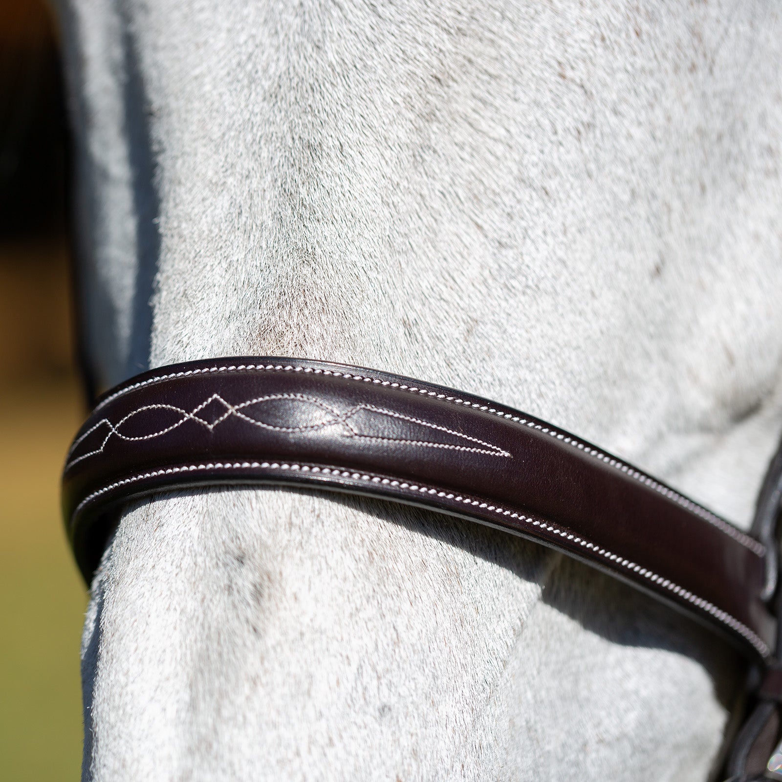 Close-up view of the noseband on the brown Equinavia Valkyrie Wide Noseband Hunter Bridle with Laced Reins, worn by a gray horse