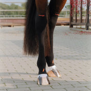 View of a bay horse wearing a pair of Incrediwear Circulation Hock Sleeves while standing on a brick path