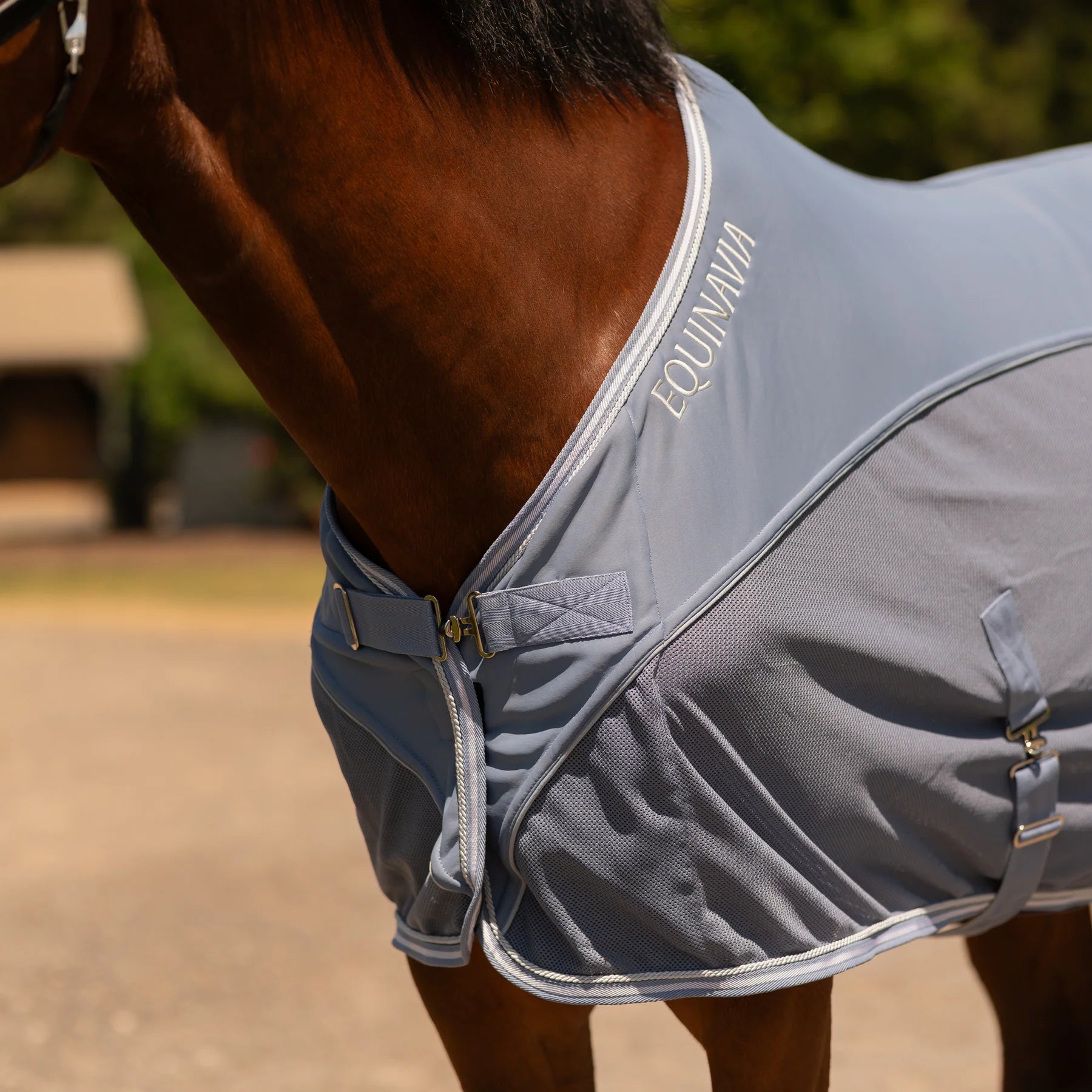 Angled side closeup view of a horse wearing Dusk Blue Equinavia Sommer Stable Sheet with NordicAir Tech