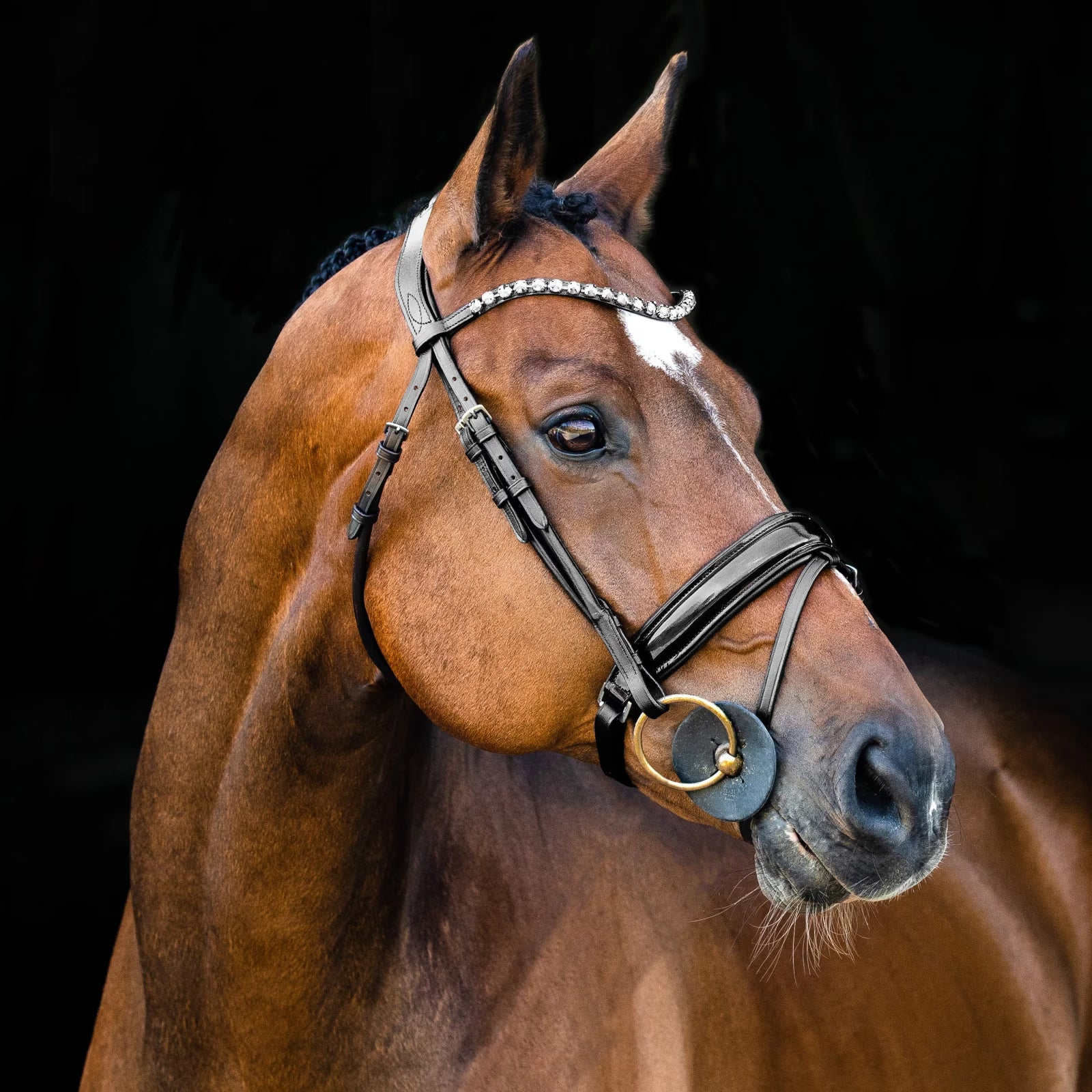 Angled side view of a bay horse wearing the Horze Clermont Ergonomic Crystal Bridle in black on a black background
