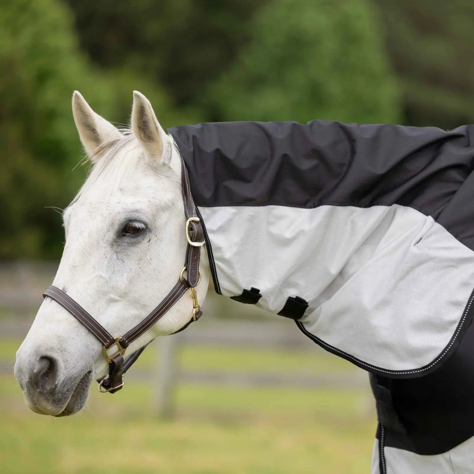 Side view of a horse wearing the black/silver gray Equinavia Norse Detachable Neck Combi Summer Sheet while standing outside