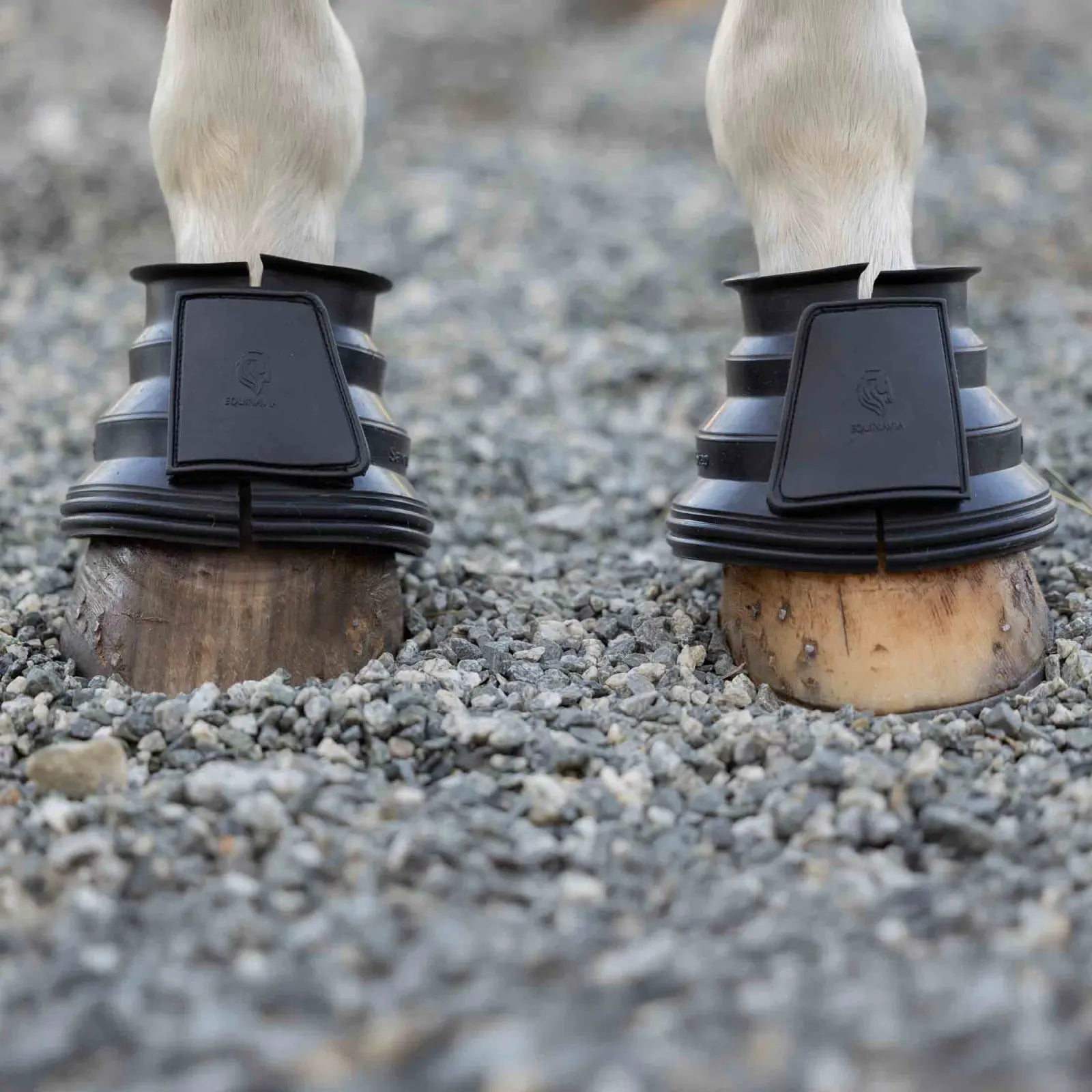 Black Equinavia Step Guard Rubber Bell Boots on a gray horse standing on gravel