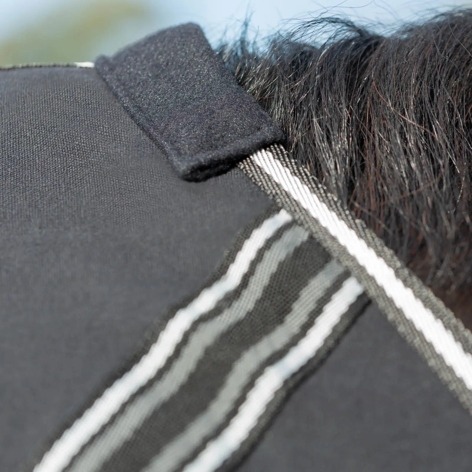 Close-up view of the fleece padded withers on the black Equinavia Fryd Cotton Stable Sheet