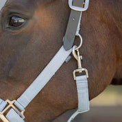 Close up of a bay horse wearing the Equinavia Loki Breakaway Halter in color sweet blue