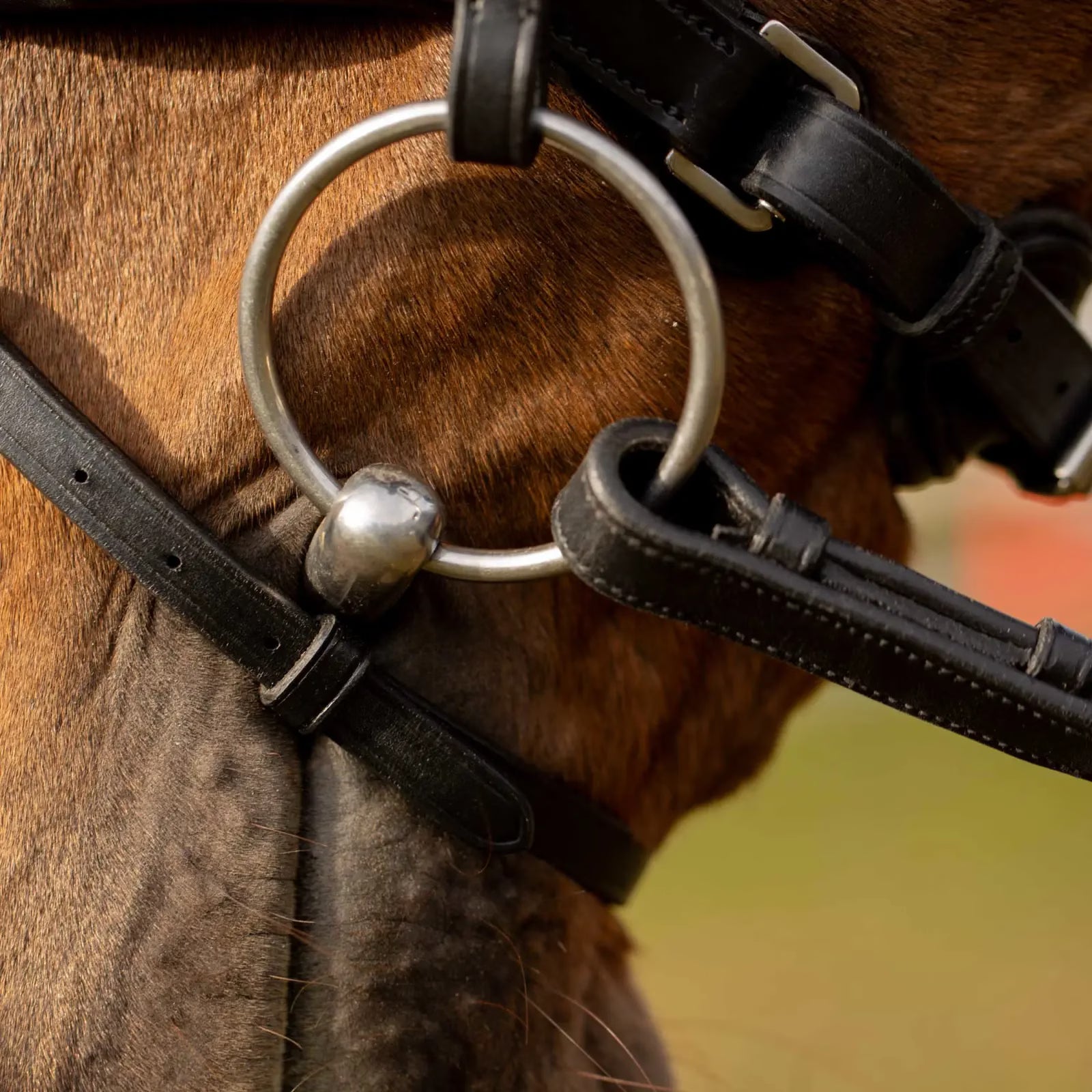 Close-up side view of the flash on the Equinavia Valkyrie Anatomic Dressage Bridle with Rubber Reins