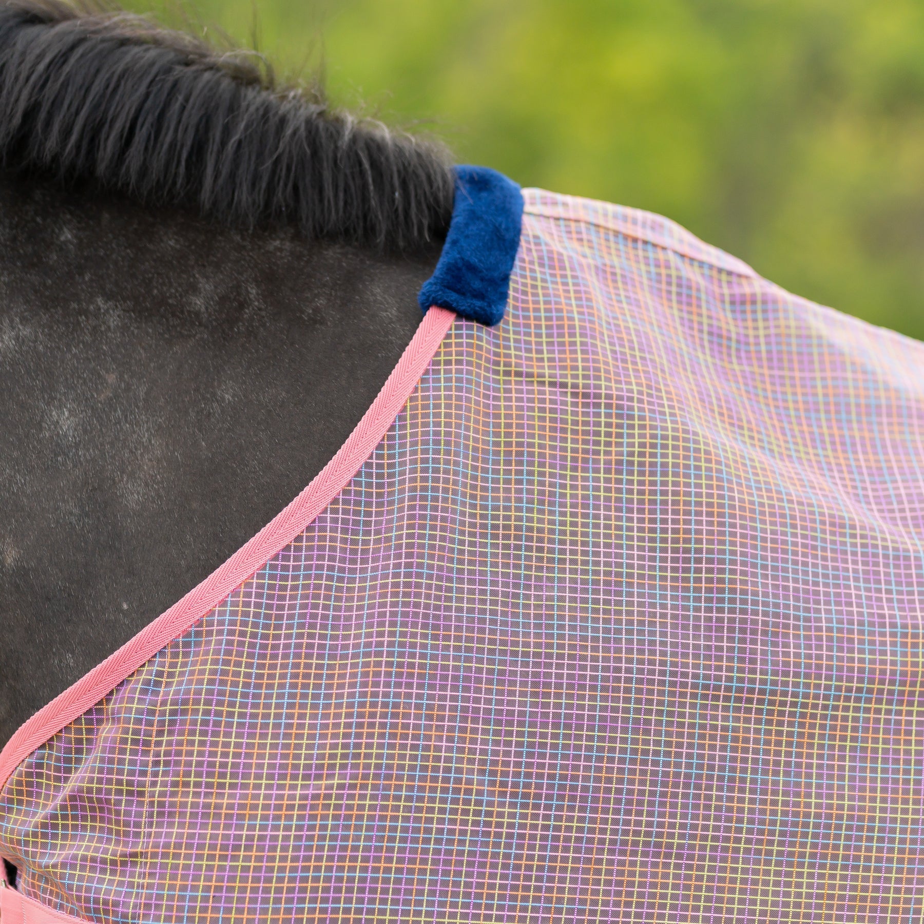 Side closeup view of a horse wearing Pink/Rainbow Equinavia Lykke Fly Sheet