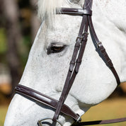 Close-up view of a gray horse wearing the brown Equinavia Valkyrie Wide Noseband Hunter Bridle with Laced Reins