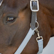 Close up of a bay horse wearing the Equinavia Loki Breakaway Halter in color sweet blue, showing leather strap and adjustable buckle